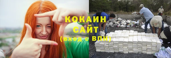 дживик Абаза