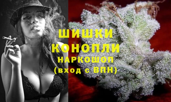 дживик Абаза