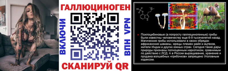 Галлюциногенные грибы Cubensis  shop Telegram  Нюрба 